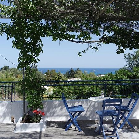 Villa Stegna Breeze Archangelos  Esterno foto